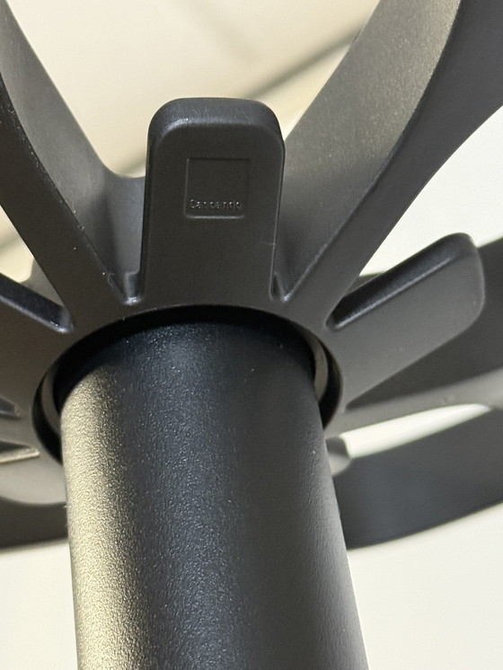 Image 1 of Flower Coat Stand by Cascando