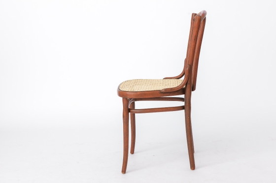 Sedia antica in legno curvato nello stile di Thonet n. 56 | Sedia da bistrot austriaca in rattan | Anni '30 (photo 6 of 11)