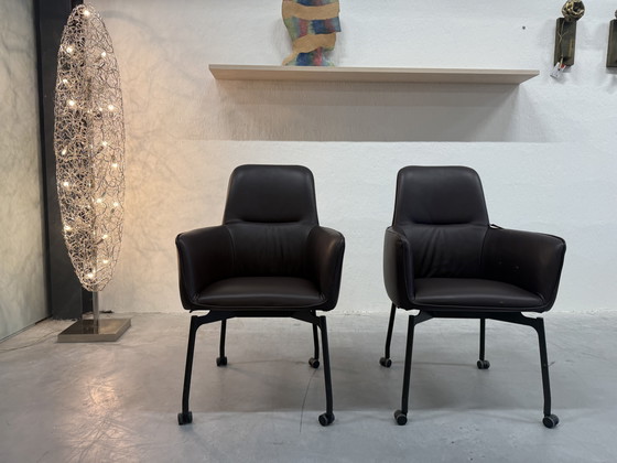 Image 1 of 2 Leolux Gyon Hochstühle Noli Ramo