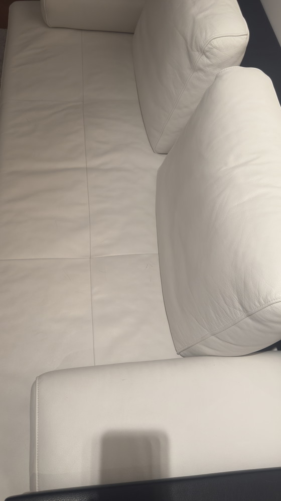Rolf Benz Dono Sammlung – Sofas, Leather, Metal (photo 8 of 9)