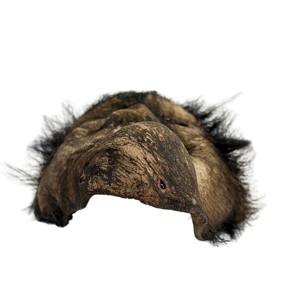Máscara de Chamán de Cuero de Yak Nepalés – Gurung/Magar – Mediados del Siglo XX – Esculturas (photo 8 of 8)