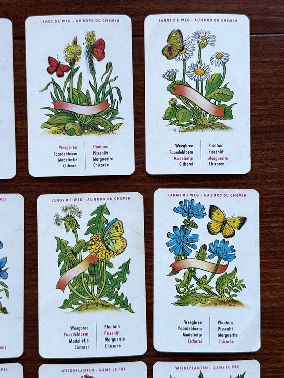 Image 1 of Vintage Bloemenkwartet Jeu de Fleurs - Diabolo 1964 – compleet