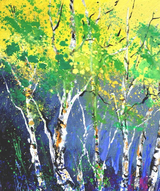 Image 1 of Aspenrées 5626