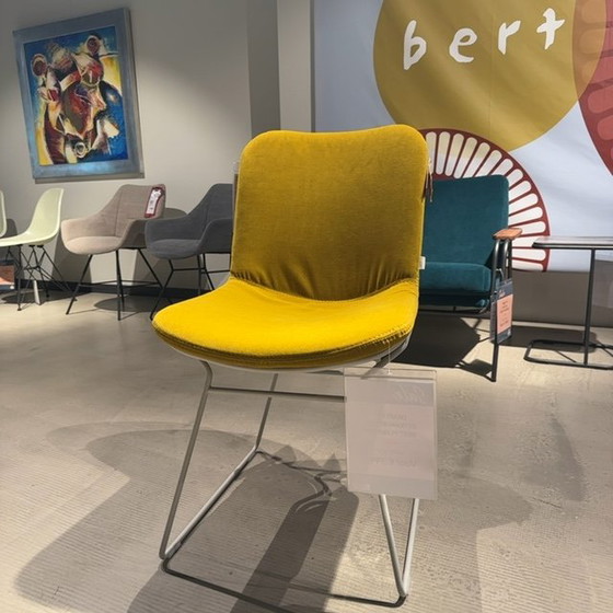 Image 1 of Bert Plantagie Draat D11 eetkamerstoel