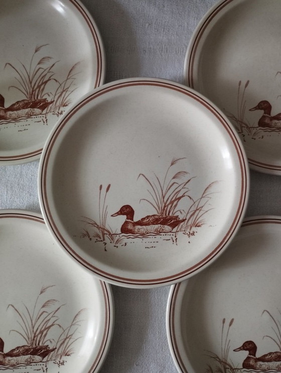 5 kleine vintage aardewerken bordjes en mokken met CHURCHILL eendjes. – Servies, Ceramic (photo 10 of 17)