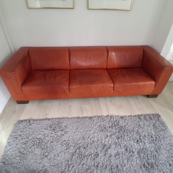 Divano Linteloo LA – Divani 3 posti, Pelle (photo 3 of 5)