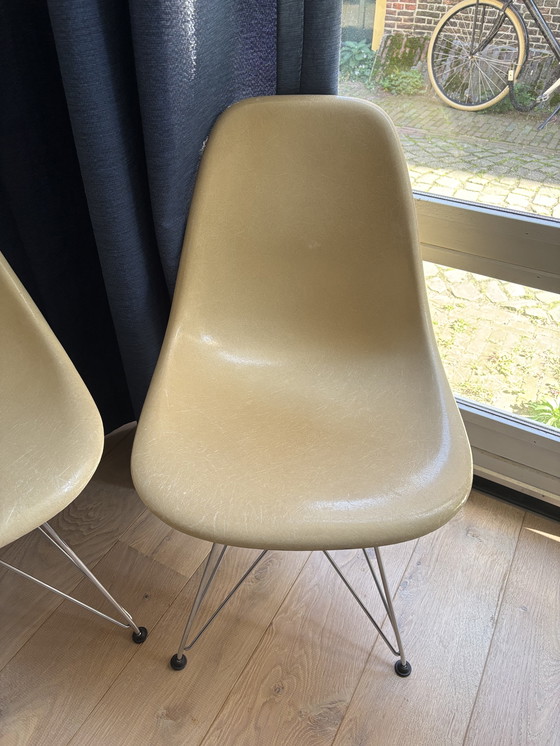 Image 1 of 4 chaises d'appoint en fibre de verre Eames Miller Vitra DSR – parchemin