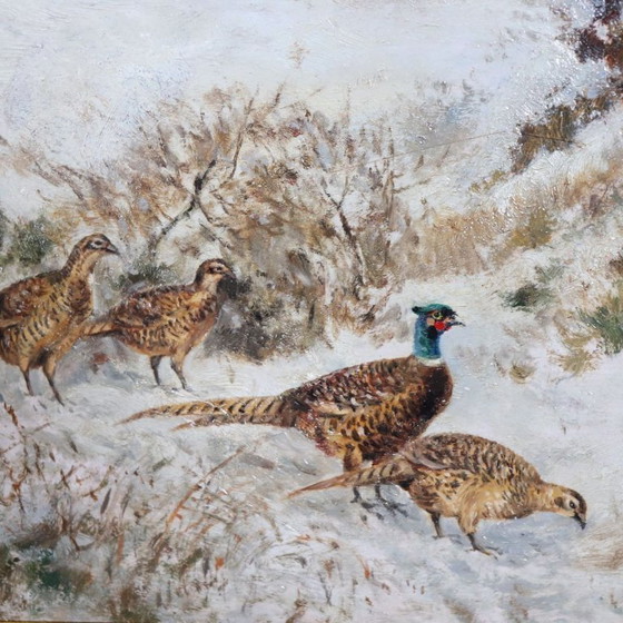 Image 1 of Pheasants in the Snow, Oil Painting on Board, Signed Wilhelm Buddenberg