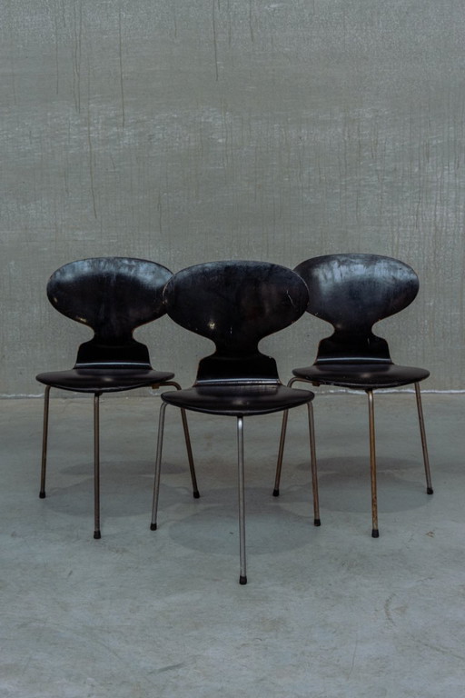 Early editions ant chairs Arne jacobsen By fritz hansen Upholster with black leather seats