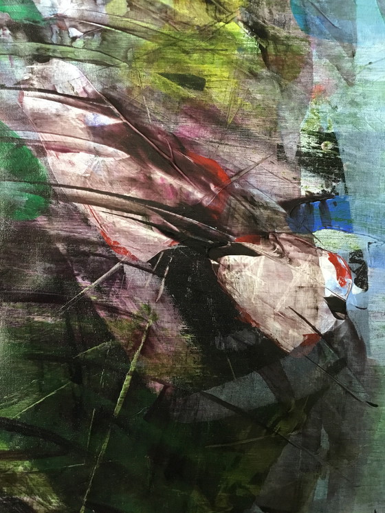 Image 1 of Elio - Samenvatting nr. 6