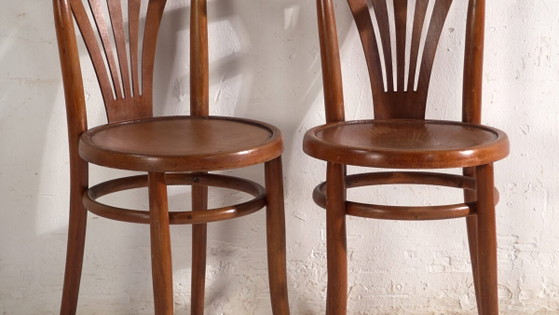 Sedie antiche in legno curvato stile Thonet – Ungheria, circa 1960 #7 – Sedie da pranzo (photo 3 of 40)