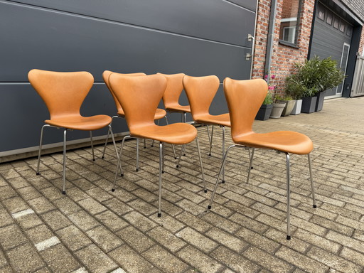 Sillas Mariposa Serie 7 de Fritz Hansen en piel color coñac.