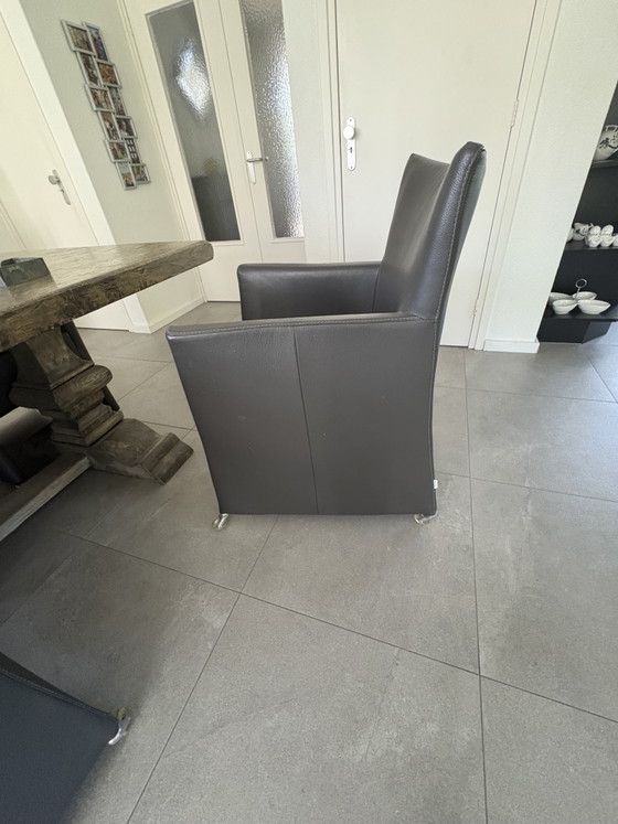 6 sedie da pranzo Jade di Bert Plantagie – Leather, Metal (photo 8 of 10)