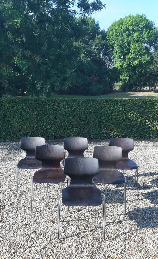 Set Flötotto Pagholz eetkamerstoelen   palisander 