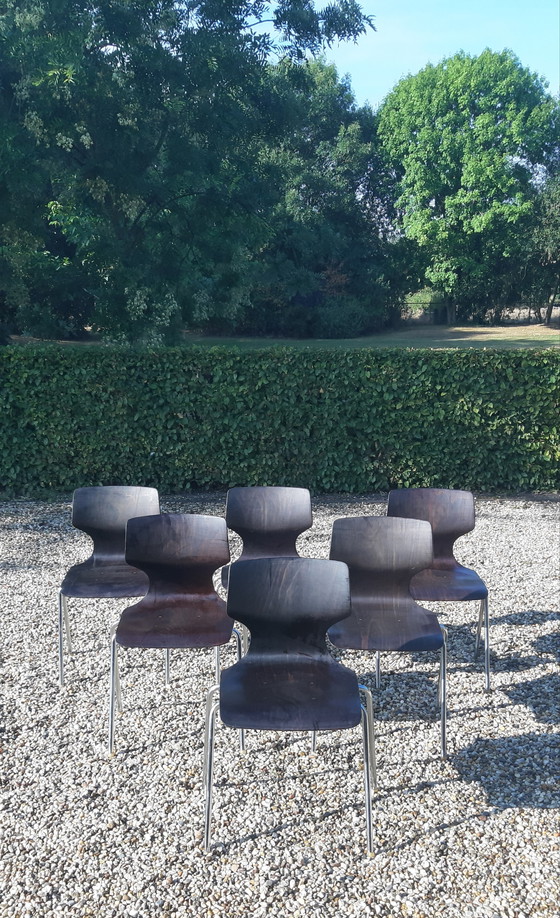 Image 1 of Set Flötotto Pagholz eetkamerstoelen   palisander 