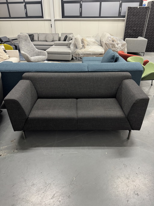 Rolf Benz Linea Zweisitzer