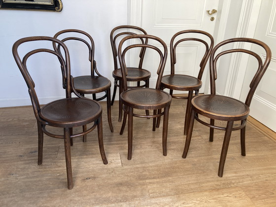 Image 1 of 6x Thonet Design No. 14 Chairs