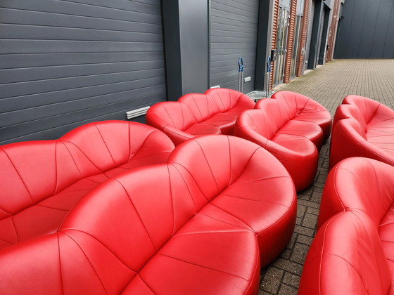 Image 1 of Ligne Roset - (6) pumpkin 3-zitsbank by Pierre Paulin