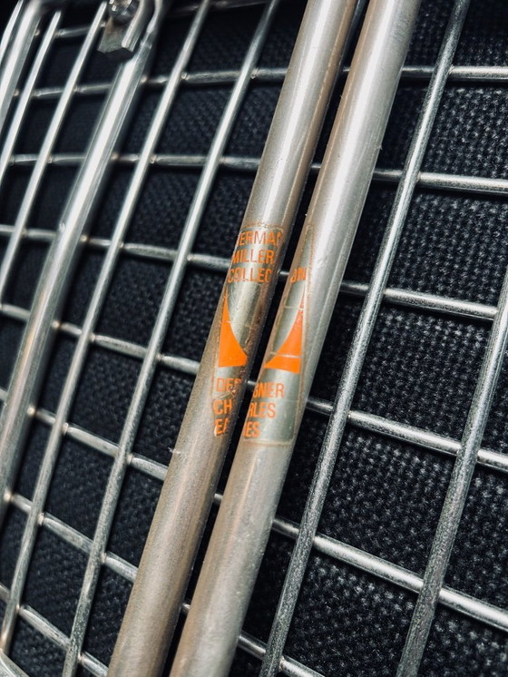 Image 1 of 2x DKX - 2 Sillas de bikini | Primera Serie | Charles Eames | Herman Miller