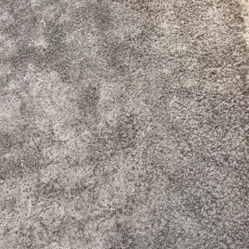 Leolux Amund rug - 240x340