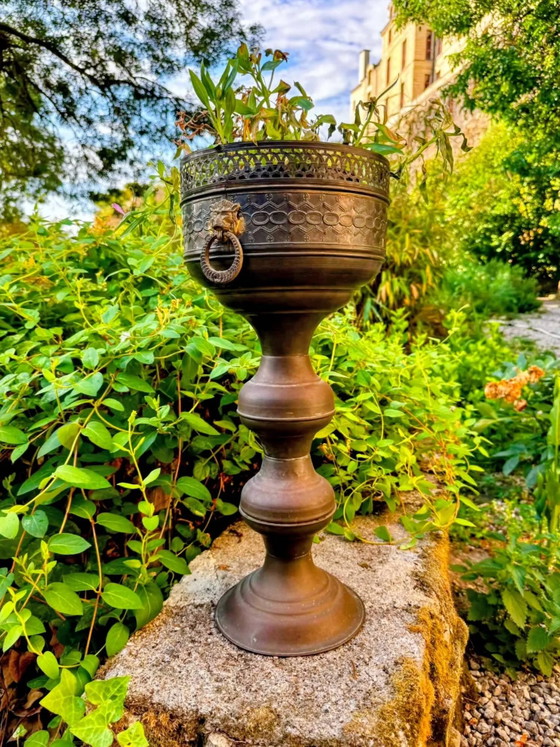 Grande Vasi per piante leone in ottone su supporto in stile barocco Art Nouveau. – Brass, Barok (photo 6 of 6)