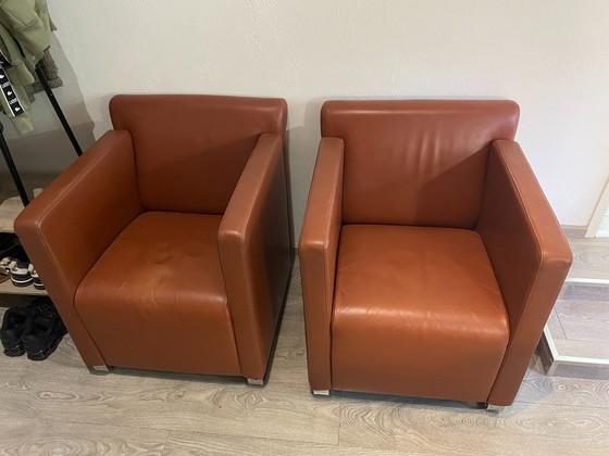 Sedie COR Quant – Poltrone, Leather (photo 2 of 5)
