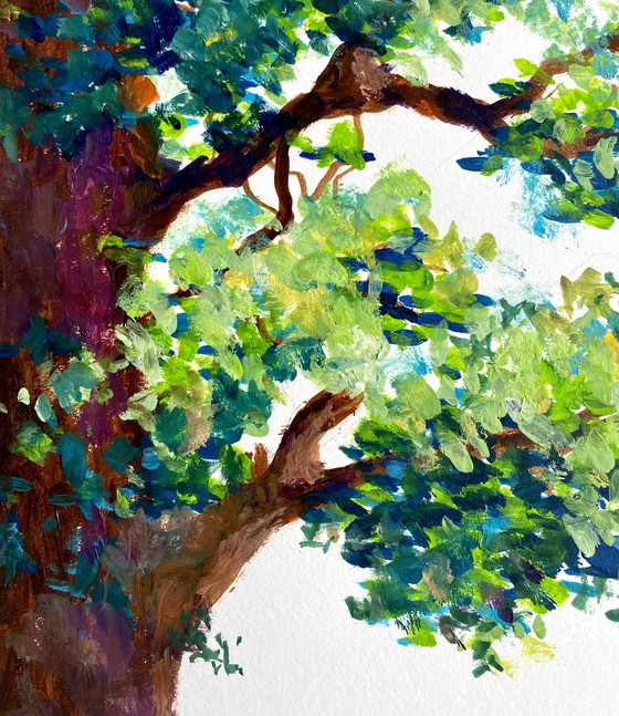 Image 1 of Gain shadows