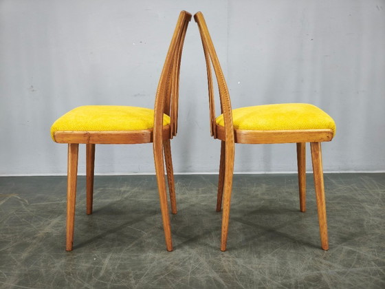 Image 1 of Ensemble de 4 chaises de salle à manger TON en hêtre, style Mid-Century, Tchécoslovaquie, années 1970