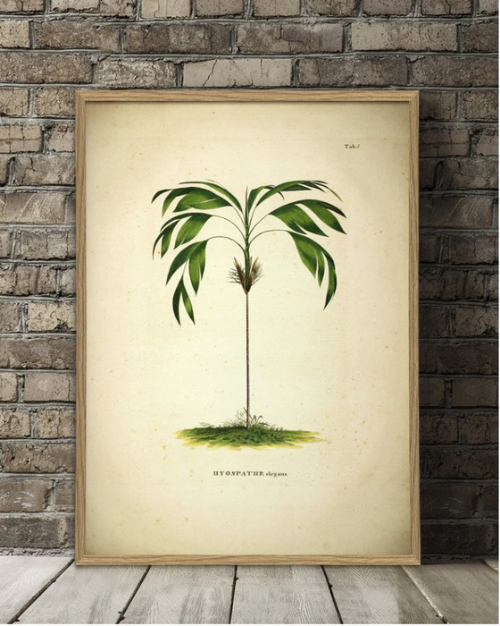 XXL Botanische Kunstprint 120 x166 cm | Nieuwprijs €475 – Giclée Prints, Paper (photo 4 of 5)