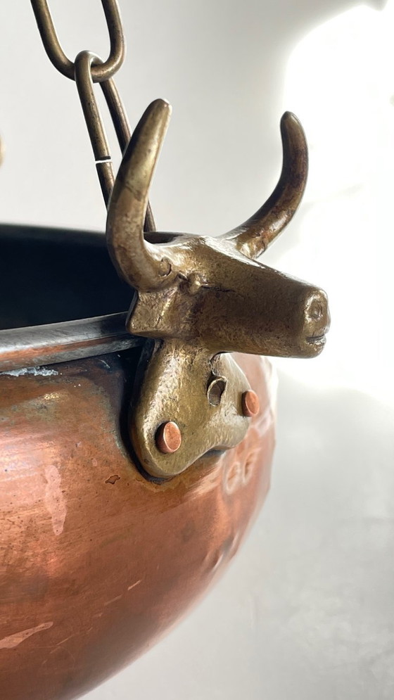 Image 1 of Fioriera sospesa con 3 bufali d'epoca