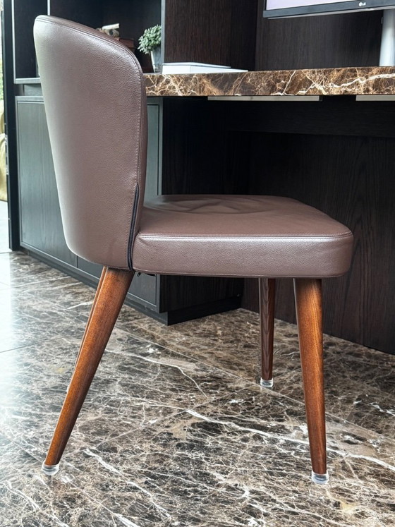 Minotti Astor silla de comedor, Sillas de comedor, Cuero, Madera, Marrón, Modern (foto 2 de 5)
