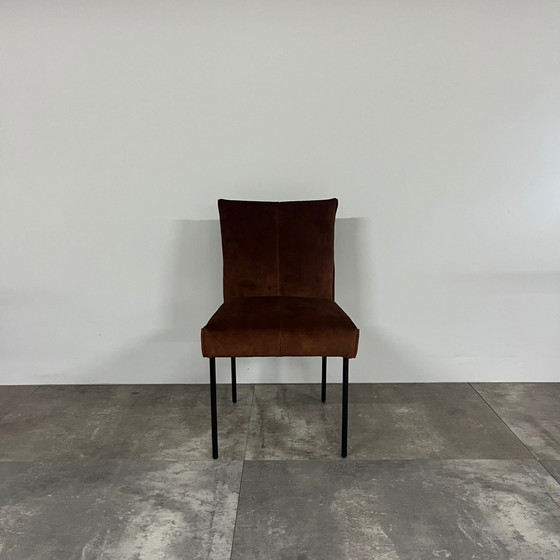 Bliss Set di 6 – Bert Plantagie, Sedie da pranzo (photo 5 of 6)