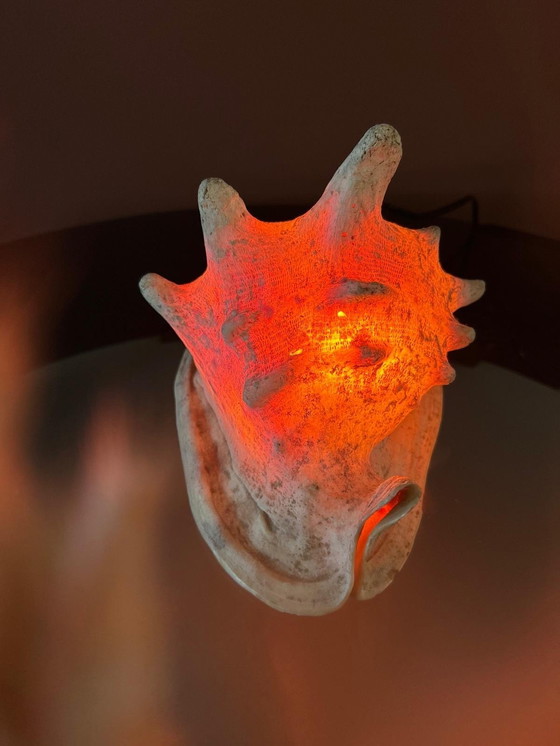 Image 1 of Casis Cornuta Helm Schelp Lamp