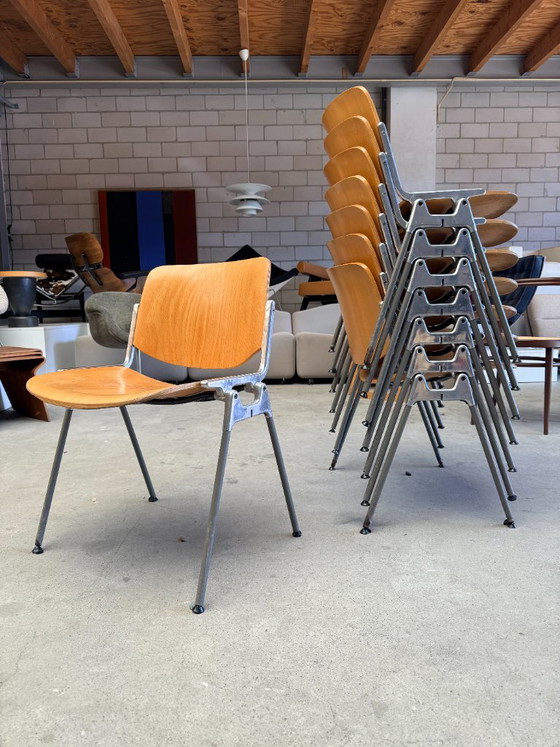 Castelli DSC106 chair, Giancarlo Piretti (stock: 8) – Dining chairs, Wood, Aluminium (photo 6 of 10)