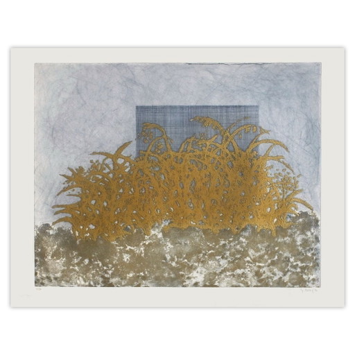 Yannick BALLIF Eaux vives Gravure signée 1990