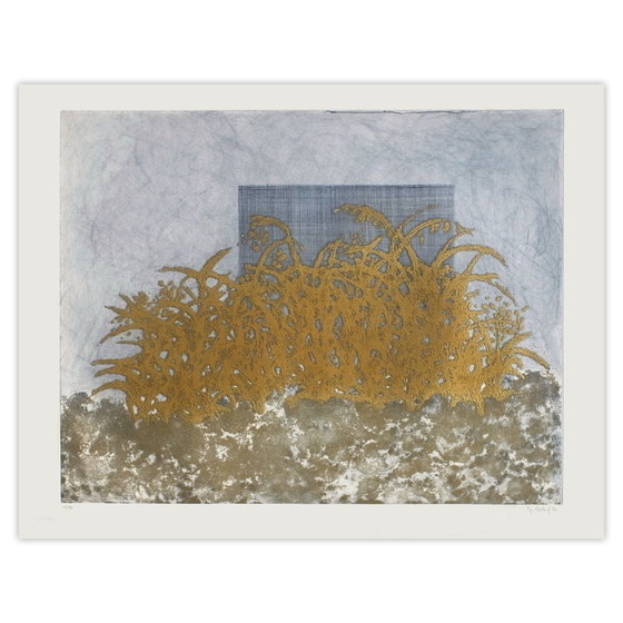 Image 1 of Yannick BALLIF Eaux vives Gravure signée 1990