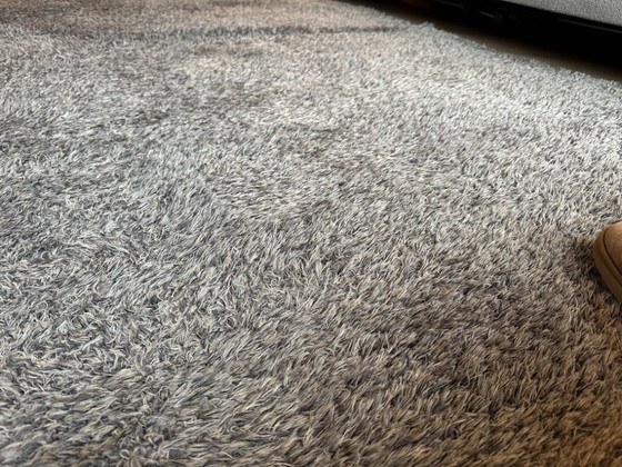 Image 1 of Teppichschild Sauvage - 255 x 210