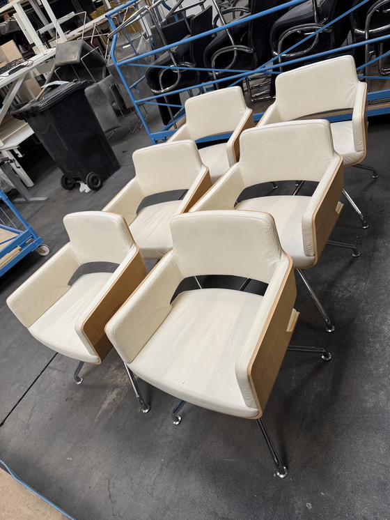 Image 1 of 6x Thonet stoelen