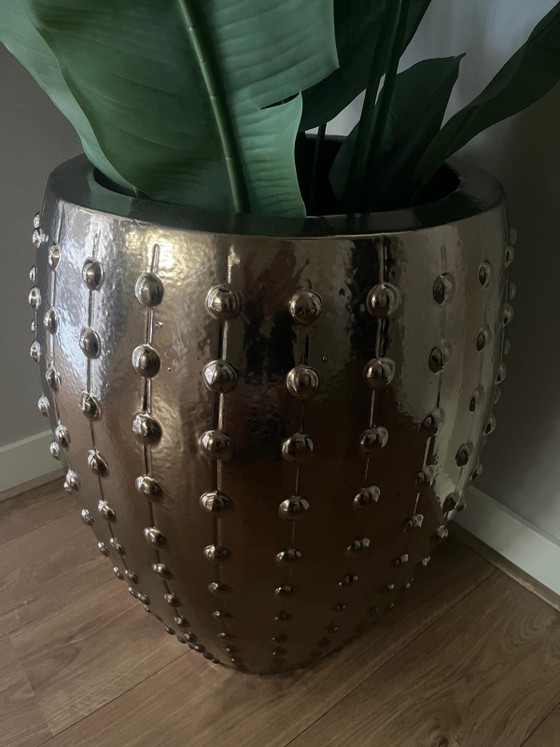 Image 1 of Pot Laos Bronze-Gold + Strelitzia Nicolai XL 230 cm Eric Kuster 