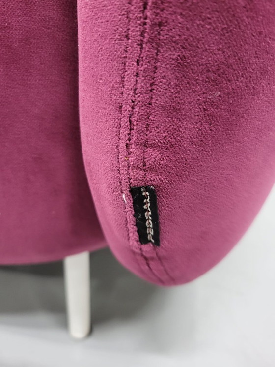 Image 1 of 1x poltrona lounge Pedrali Buddy