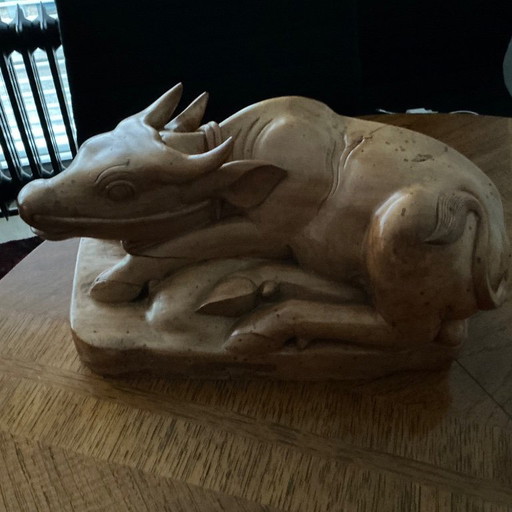 Bufalo d'acqua indonesiano “Unica”