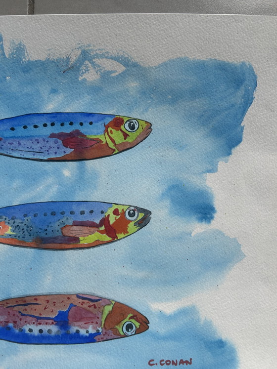 Kleurrijke Sardines Aquarel 30x40 cm – canson, Wanddecoratie, Paper (photo 7 of 8)