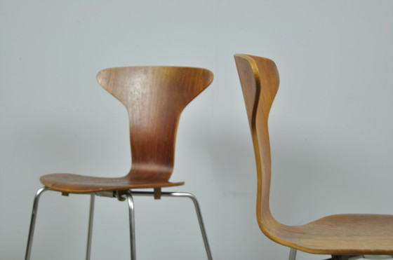 Image 1 of Fritz Hansen / Vintage Mosquito Dining Chairs / Arne Jacobsen / 1960S Denmark