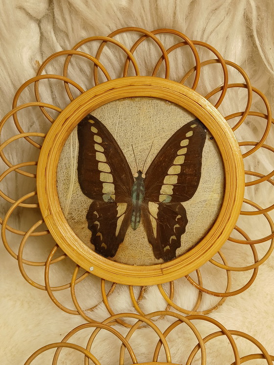 Image 1 of Sottobicchieri vintage in bambù con farfalle