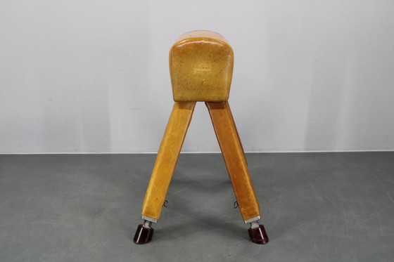 Image 1 of Tsjechoslowaaks turnpaard van leer en hout uit de jaren 50, in hoogte verstelbaar
