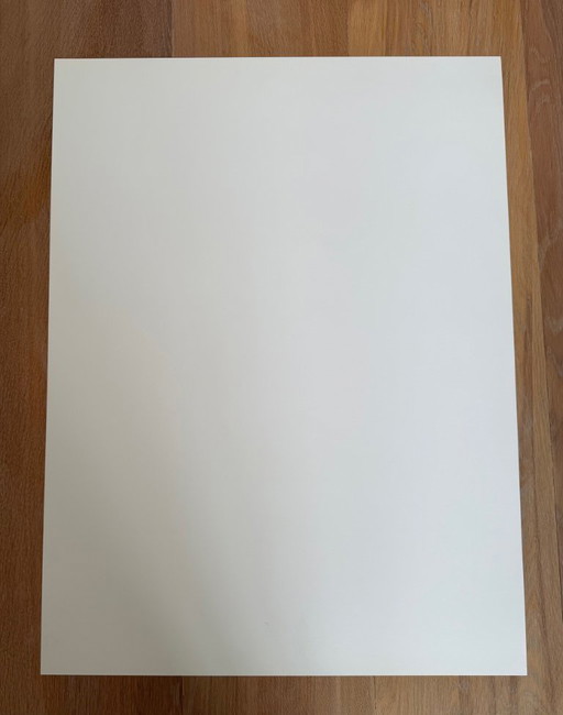 Jan Jansen, "Stir my blue blood," 1995, Shoedesigner, Rokin 42, copyright Claude Vanheye and Joost Guntenaar, 2002, Printed in H