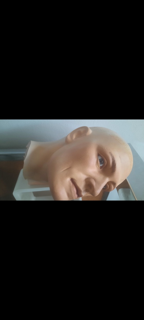 Image 1 of Unique Vintage  Mannequen head with glass eyes