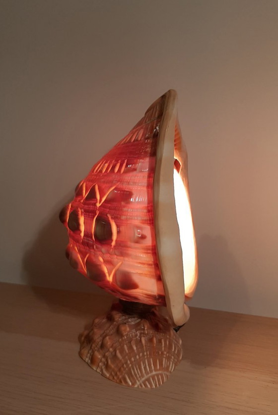 Image 1 of Cameo shell shade. Schelp tafellamp  jaren 20/30