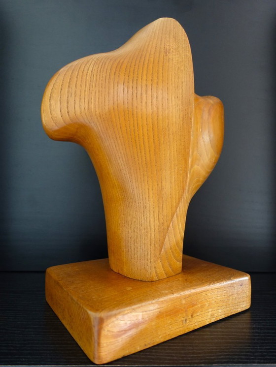 Image 1 of Abstract in Hout