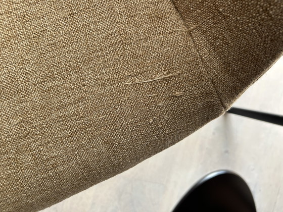 Sedie originali Walter Knoll Sheru – Sedie da pranzo, Cotone (photo 5 of 6)